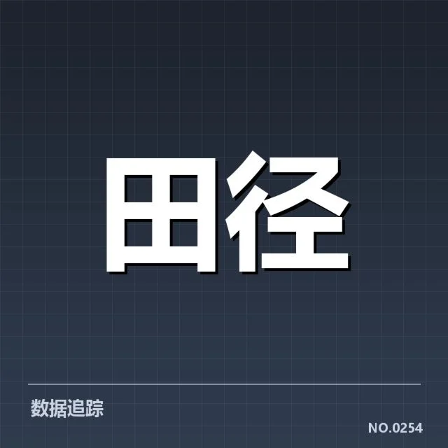 已确认的队员名单与比赛安排